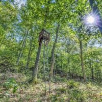 80 Acre Hunting Tract - Oil Wells - Bowling Green Kentucky images 2