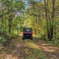 80 Acre Hunting Tract - Oil Wells - Bowling Green Kentucky images 3