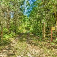 80 Acre Hunting Tract - Oil Wells - Bowling Green Kentucky images 4