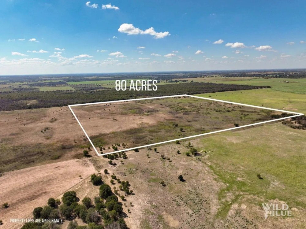80 Ac PR Rising Star featured image