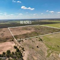 80 Ac PR Rising Star