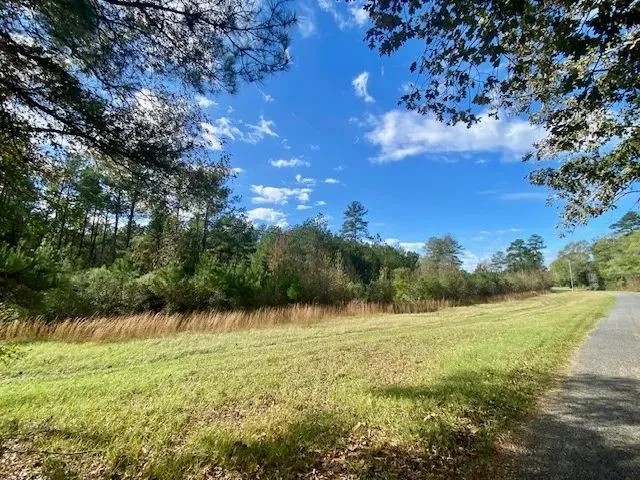 18.94 acres in Lincoln County featured image