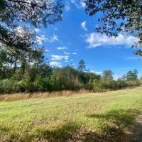 18.94 acres in Lincoln County