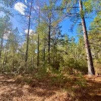 18.94 acres in Lincoln County images 2