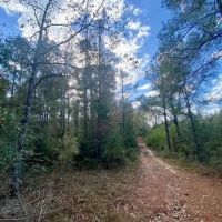 18.94 acres in Lincoln County images 5