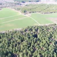 204 acres of Cropland Timberland Hunting Land for Sale In Greene County NC images 1