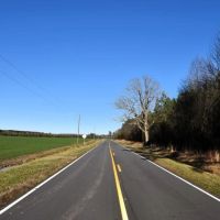 204 acres of Cropland Timberland Hunting Land for Sale In Greene County NC images 2