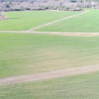 204 acres of Cropland Timberland Hunting Land for Sale In Greene County NC images 3