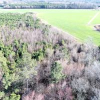 204 acres of Cropland Timberland Hunting Land for Sale In Greene County NC images 5