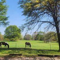 Bennington acreage
