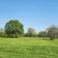 Bennington acreage images 3