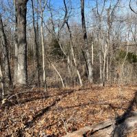 10 Wooded Acres Near Truman Lake images 3