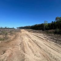 Jackson Parish Timber Tract 4 images 2