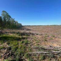Jackson Parish Timber Tract 4 images 4
