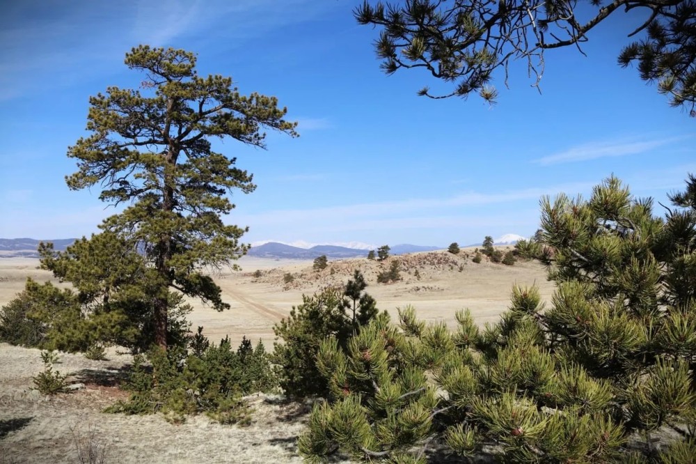 Hidden Meadows Ranch featured image