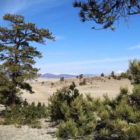 Hidden Meadows Ranch