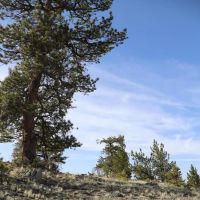 Hidden Meadows Ranch images 5