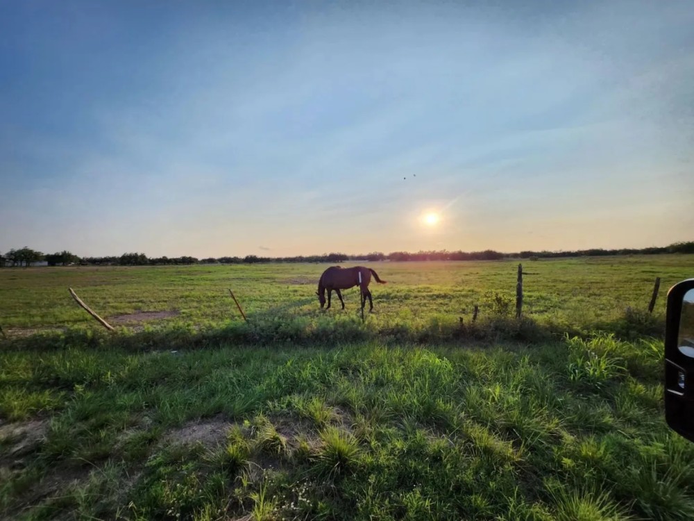 Central Texas Cattle and Hunting Ranch near San Angelo featured image