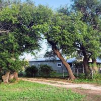 Central Texas Cattle and Hunting Ranch near San Angelo images 3