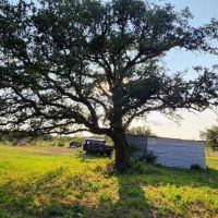 Central Texas Cattle and Hunting Ranch near San Angelo images 4