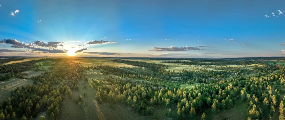 Brand Rock Ranch featured image