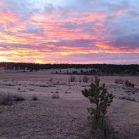 Brand Rock Ranch images 3