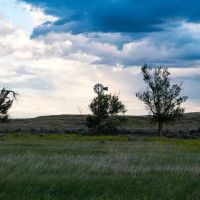 Brand Rock Ranch images 5