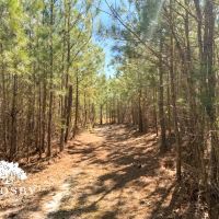 Jones Road