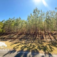 Jones Road images 2