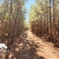 Jones Road images 4