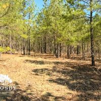 Jones Road images 5