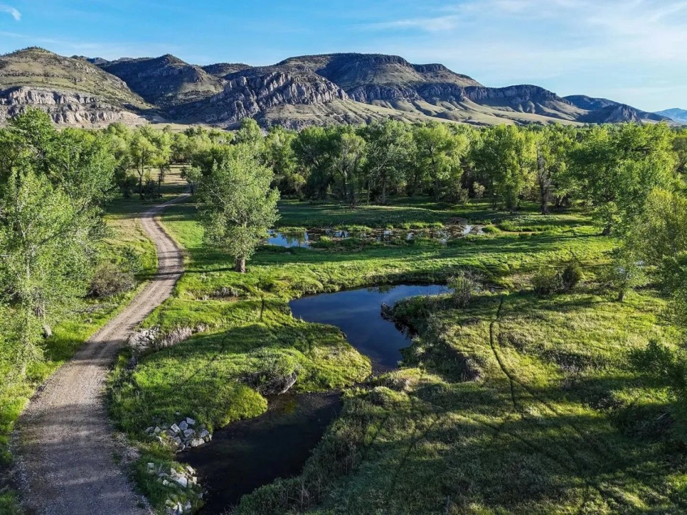 Jefferson Springs Ranch featured image