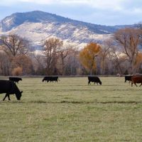 Jefferson Springs Ranch images 2