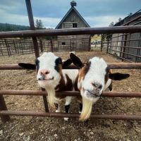 Checkpoint Ranch images 4