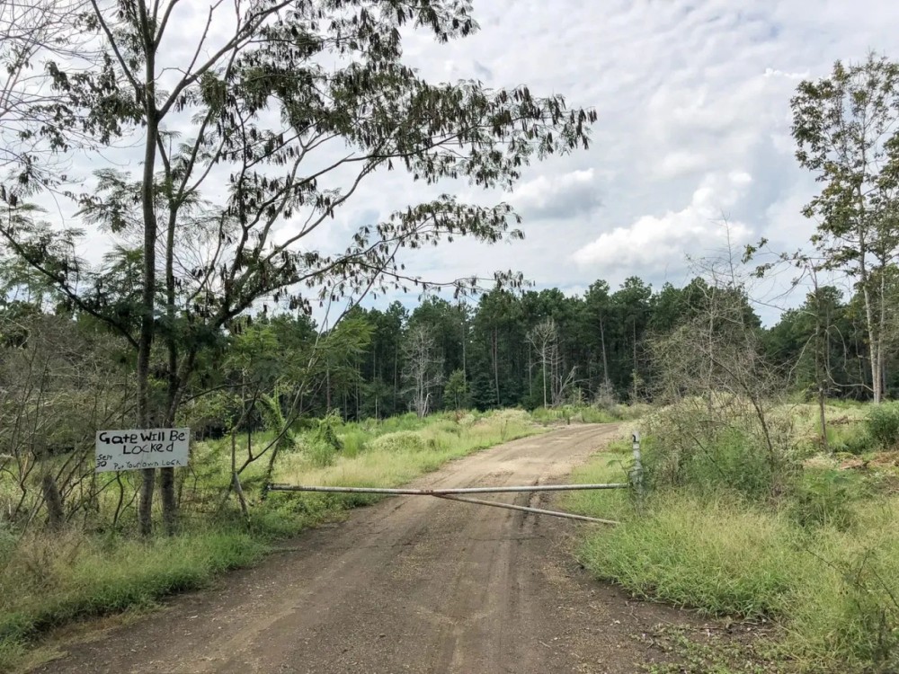667 Acres Theuvenins Creek featured image