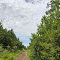 667 Acres Theuvenins Creek images 3