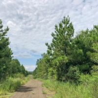 667 Acres Theuvenins Creek images 4