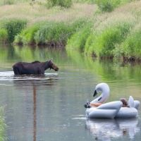 South Valley Yampa River Ranchette images 4