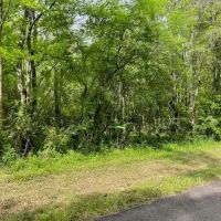 62.25 Ac Charlie Rhodus Rd images 3