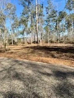 15.4 acres Walthall Co featured image