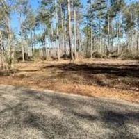 15.4 acres Walthall Co