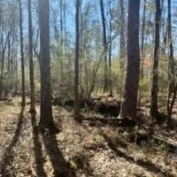 15.4 acres Walthall Co images 3