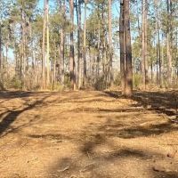 15.4 acres Walthall Co images 4