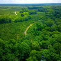 Hunting Haven on the Ocmulgee river images 2