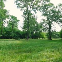 Hunting Haven on the Ocmulgee river images 5