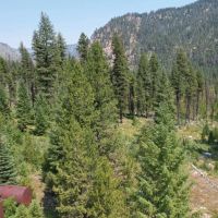 Johnson Creek Acres images 5