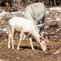 El Corral Ranch images 3