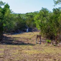 El Corral Ranch images 5