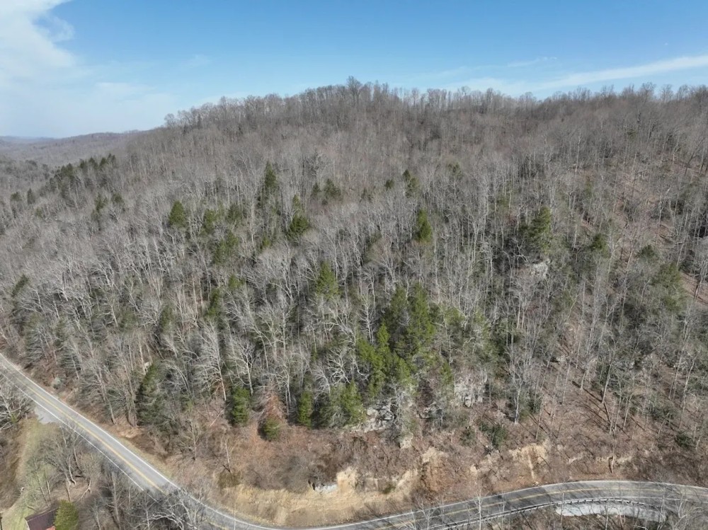 21 acres of Residential or Recreational Land for Sale in Buchanan County VA featured image