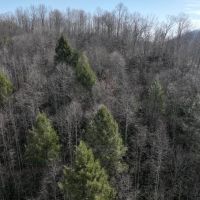 21 acres of Residential or Recreational Land for Sale in Buchanan County VA images 2